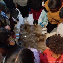 02-clt-girls-in-conservation-2024_original